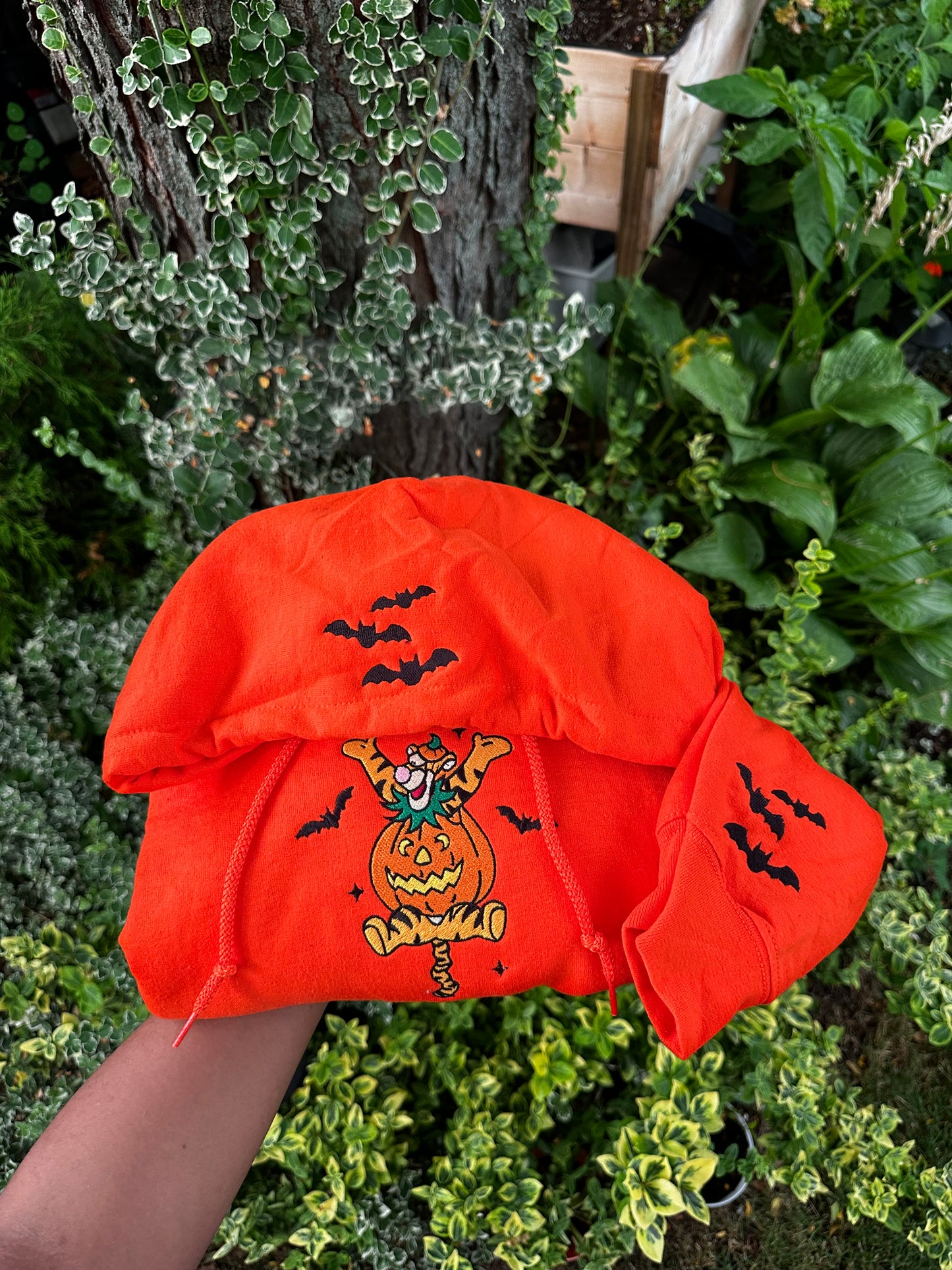 Tigger Embroidered Hoodie – Size large (Only One Available!)