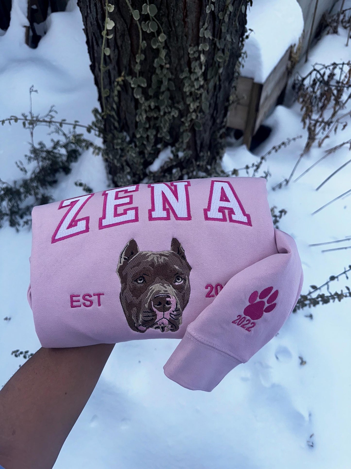 Varsity Custom Embroidered Dog Sweatshirt ,Custom Dog Sweater | Embroider Sweater,Varsity Style, College Sweater, Gift for Dog Lover