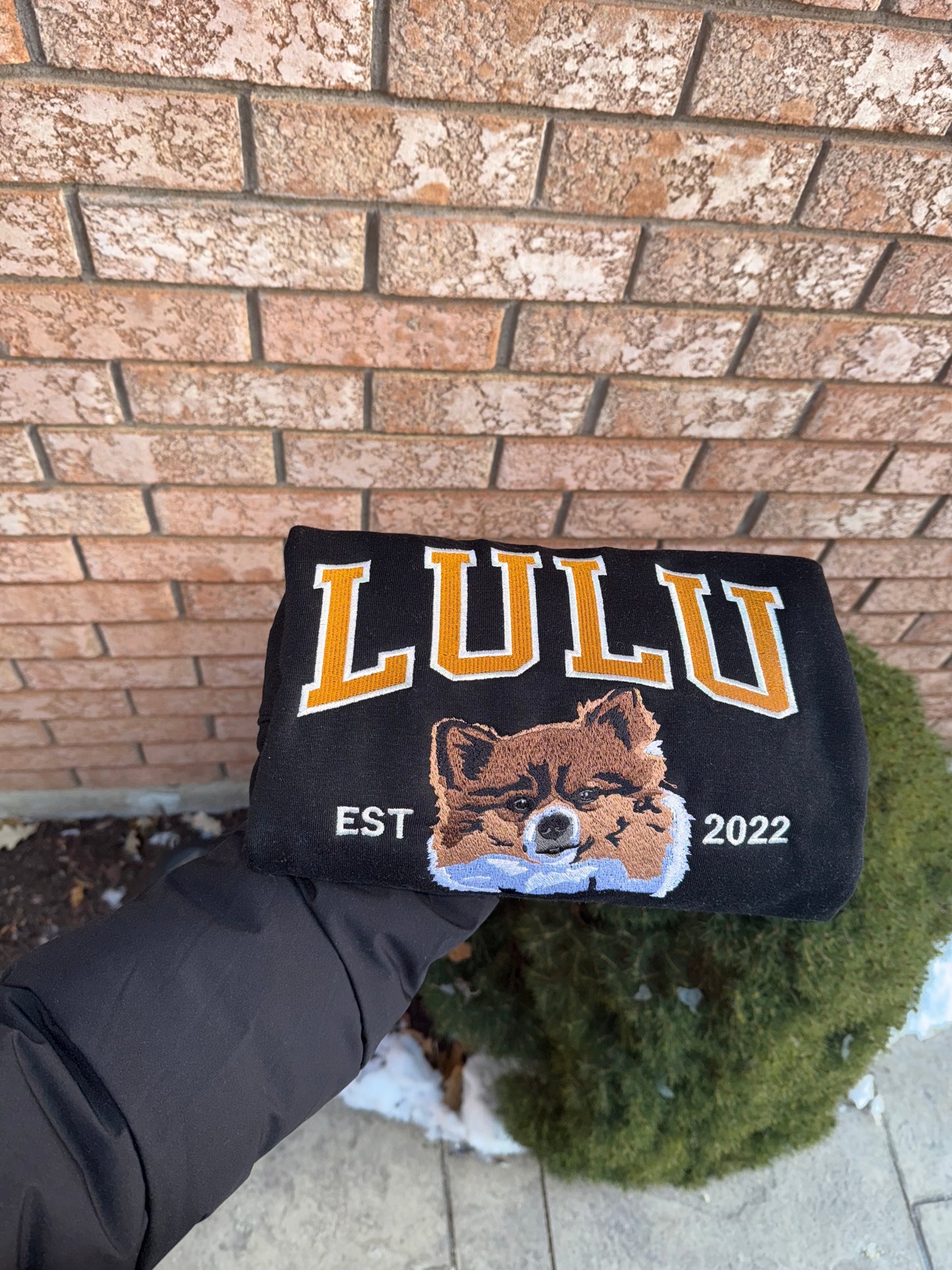 Custom Embroidered Dog Portrait Hoodie – Personalized Pet Sweatshirt Keepsake