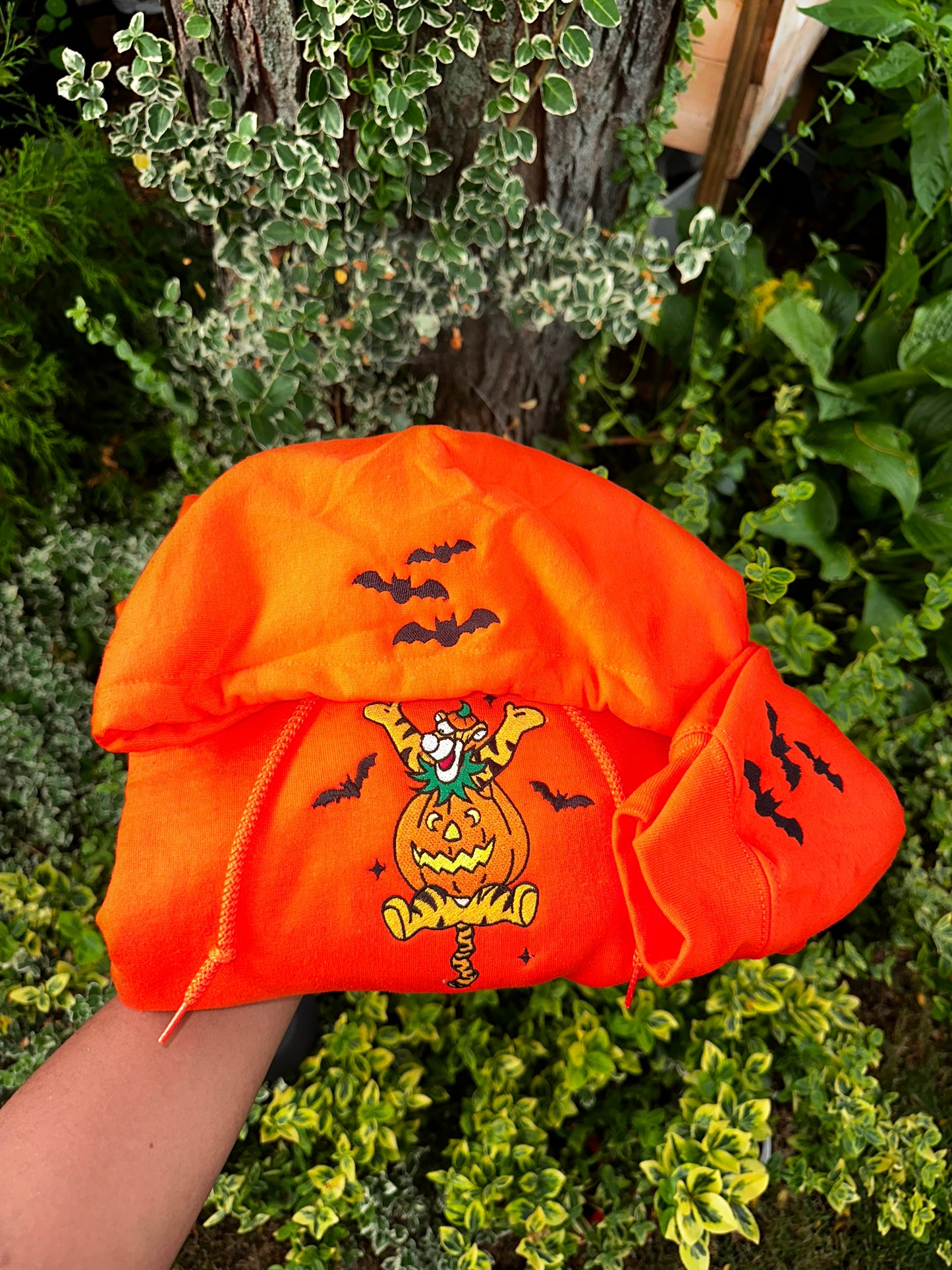Tigger Embroidered Hoodie – Size large (Only One Available!)